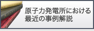 原子力発電所における最近の事例解説